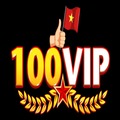100vip