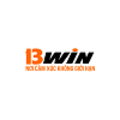 13Winjpnet