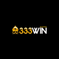 333Wincodes