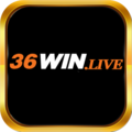 36winlive