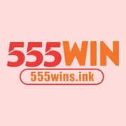 555winsink