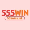 555winsink