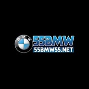 55bmw55nett