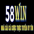 58winvipskin