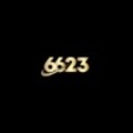 6623space