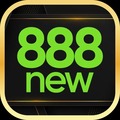 6888newcom