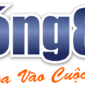 88bong88com