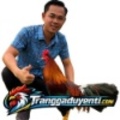 traigaduyenti