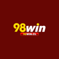98wincl