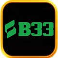 B33