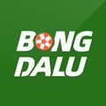 bongdalucour