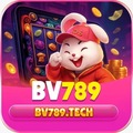 Bv789 tech