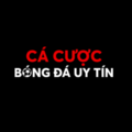 cacuocbongda1