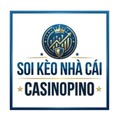 casinopino1