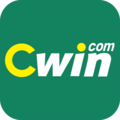 Cwincom one