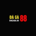daga88so
