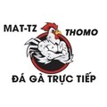 dagatructiepmat