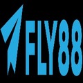 Fly88tours