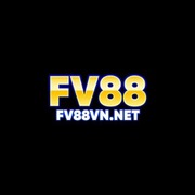 Fv88vnnet