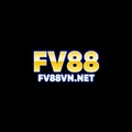 Fv88vnnet