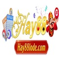 Hay88lode com
