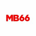mb66thnett