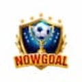 nowgoal29dev