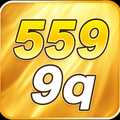 q5599qcombr