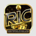 RICWIN