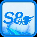 S8