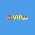 slvip2888cncom