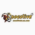 Socolive – Theo Dõi Các Giải Bóng Đá Đỉnh Cao Mỗi Ngày