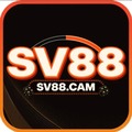 sv88cam