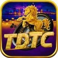 TDTC