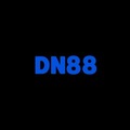 DN88