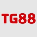 tg884com
