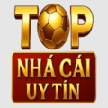 Topnhacaiuytin07 net