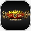 topnhacaiuytinmy