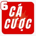trangcacuocbongda6jpnet