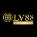 vnhlv88com