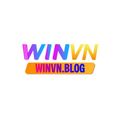 winvnblog